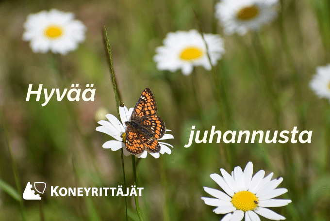 Hyvää juhannusta