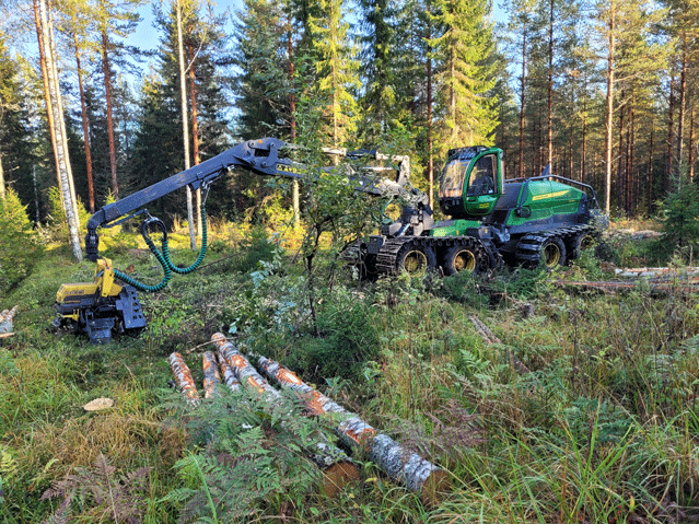 metsäkone puomi suorana
