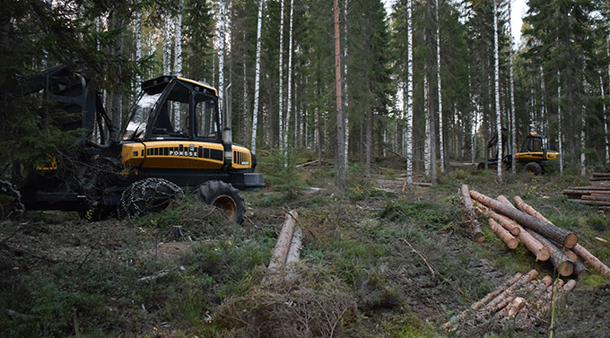 puunkorjuutyömaa tauolla